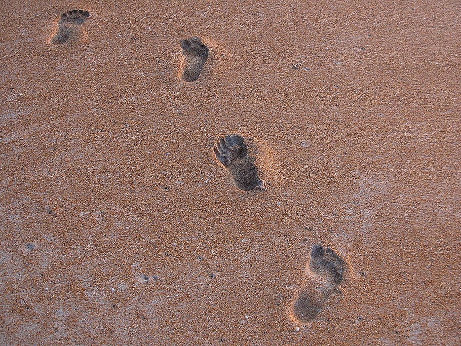 sand, track  imprint, seashore, day