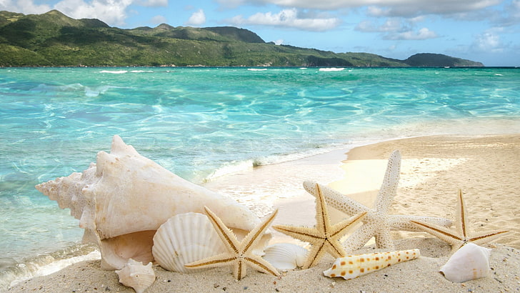 Starfish On the Sand, wave, seascape, relaxation, clouds