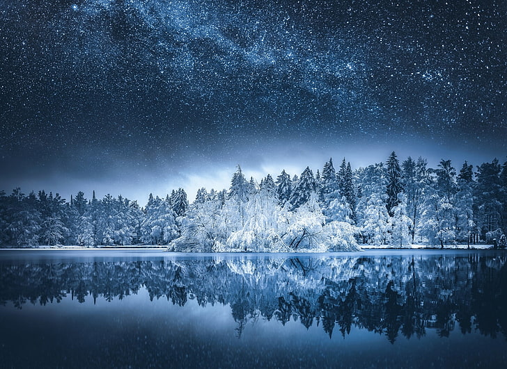 Starry Nights Forest Landscaping Aurora, galaxy, snow, night, tranquility Free HD Wallpaper