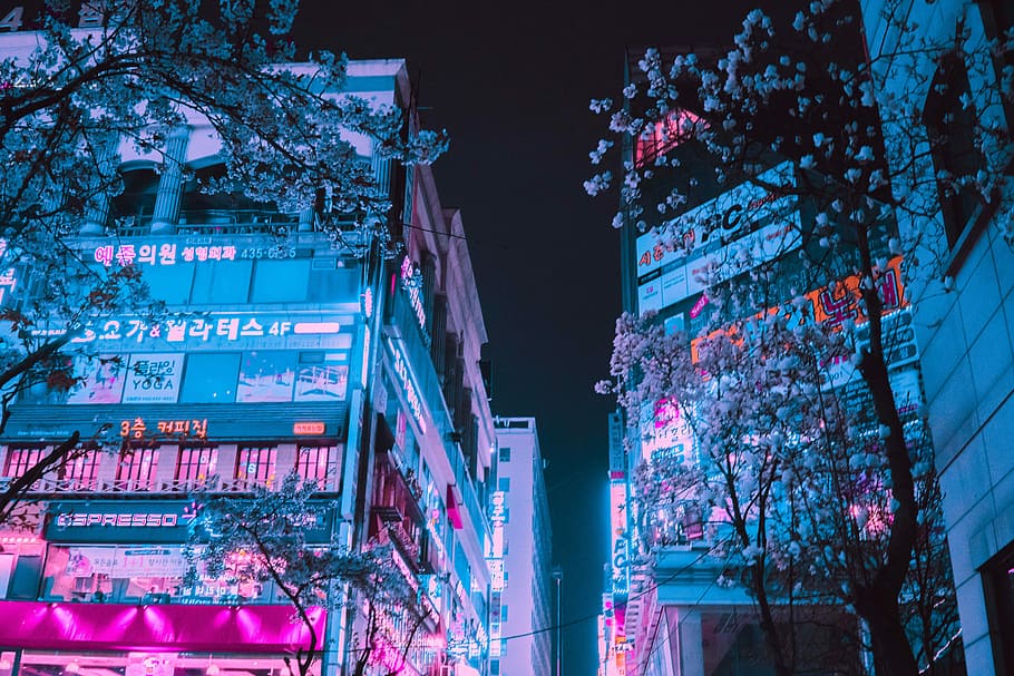 Trippy Aesthetic Cartoon, south korea, cyberpunk, nature, modern Free HD Wallpaper