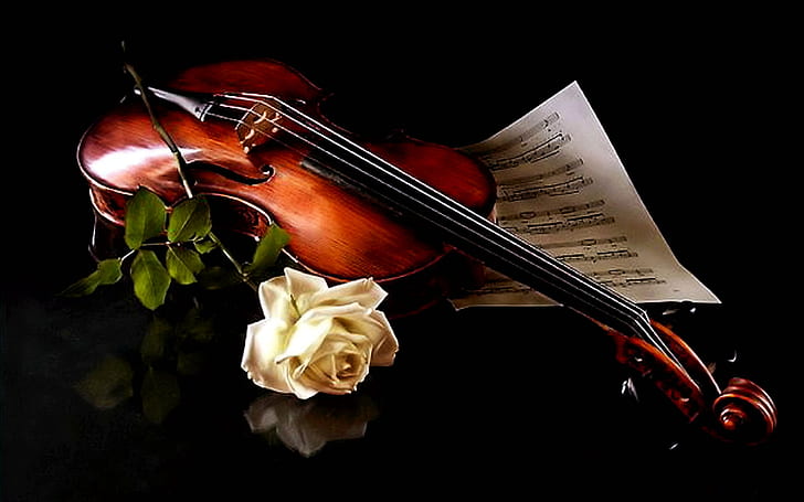 Violin Sizes, sheet music, roses, musical notes, romantic Free HD Wallpaper