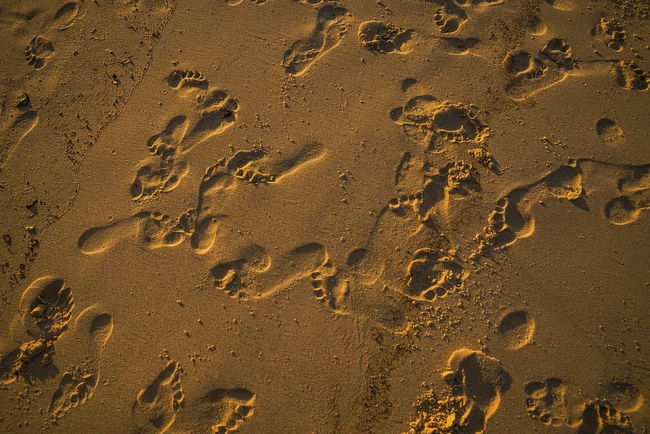 water, track  imprint, footprints, footprint