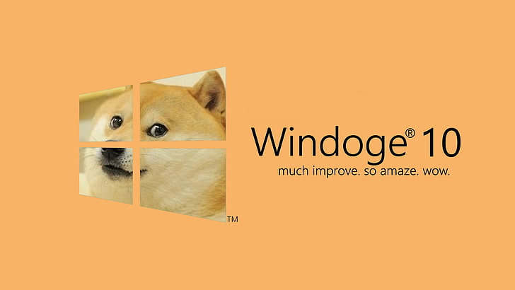 Adventure Doge Meme, purebred dog, western script, domestic animals, microsoft windows Free HD Wallpaper