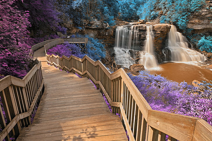 Audra State Park, fantasy, stairway, tree, forest Free HD Wallpaper