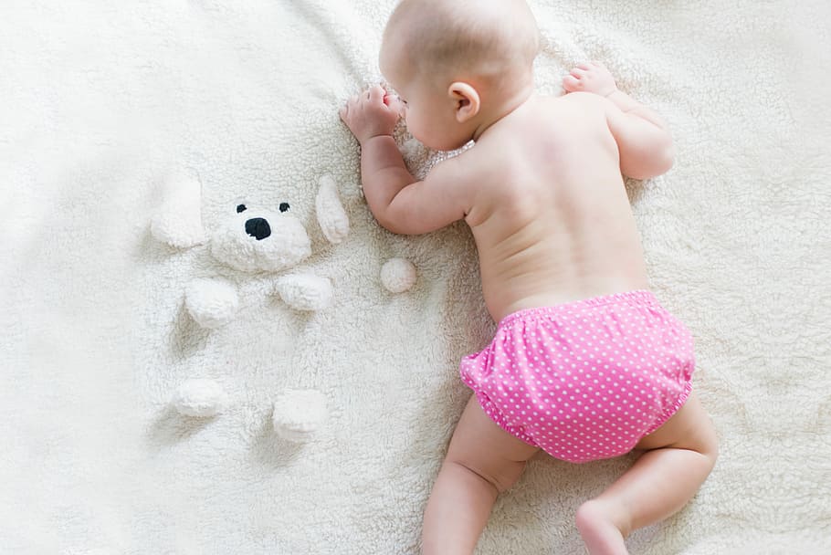 Baby Wear Diaper, bear, puppy, diaper, newborn Free HD Wallpaper