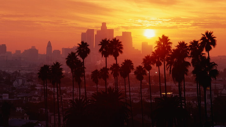 California Dreaming, los angeles, sunset, palm trees Free HD Wallpaper