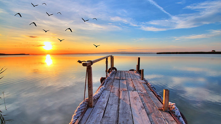 Calm Water Sunrise, seashore, dawn, shore, cloud