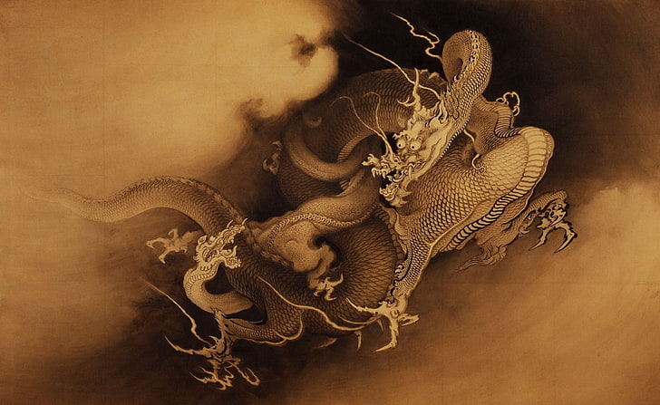 Colorful Chinese Dragon, animal themes, studio shot, one animal, undersea