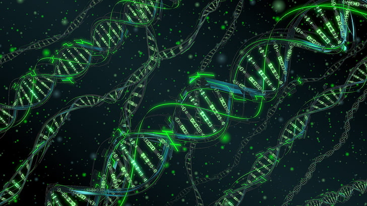 Cool DNA Structure, nature, no people, green color, night Free HD Wallpaper