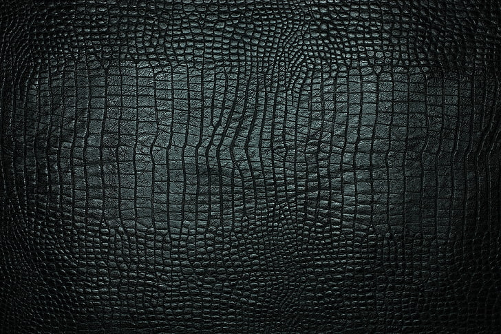 Crocodile Black Leather, no people, clothing, indoors, textured effect Free HD Wallpaper