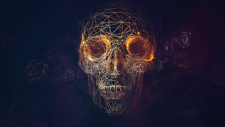 High School Math Book, skull, lines, abstract, roses Free HD Wallpaper