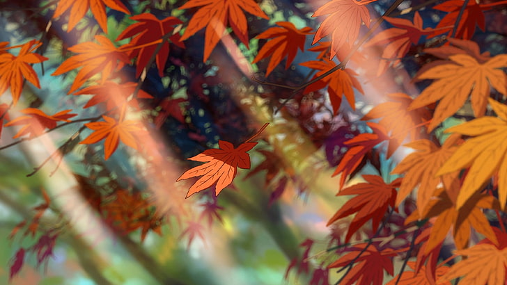 Makoto Shinkai Works, beauty in nature, kimi no na wa, maple leaf, vulnerability Free HD Wallpaper