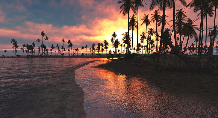 Palm Tree Landscape, tranquility, no people, beach, orange color Free HD Wallpaper