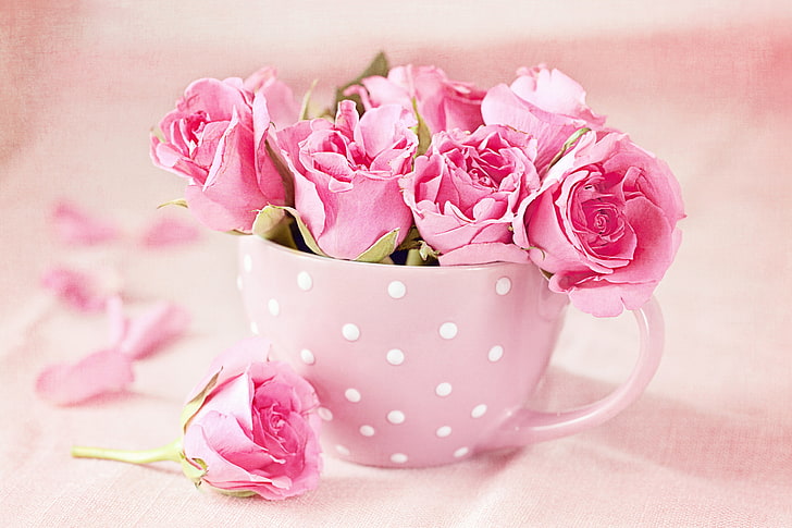 Pink Roses Bouquet, table, freshness, cup, purple Free HD Wallpaper