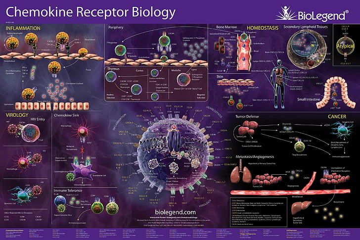 Resolution Biology, medicine, science, virus, biology Free HD Wallpaper