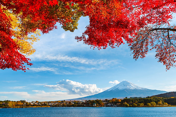 Thailand, volcano, no people, branch, nonurban scene Free HD Wallpaper