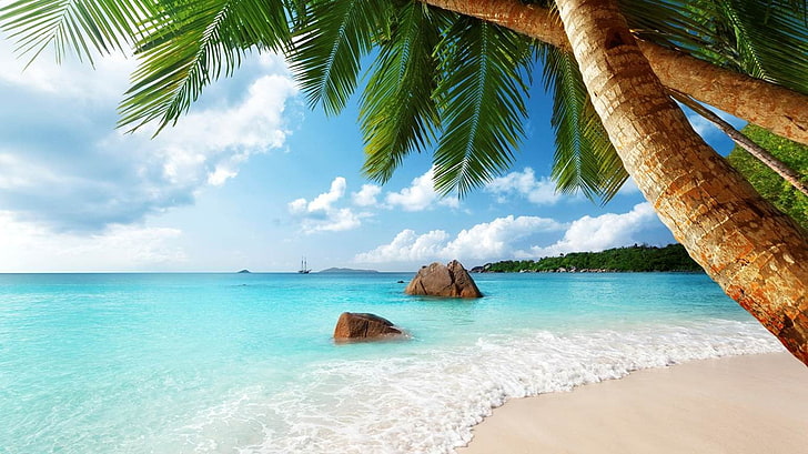 Tropical Beach Scenes, seychelles, beauty in nature, horizon, scenics  nature Free HD Wallpaper