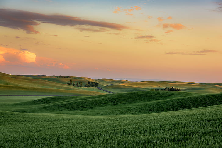 10 Most Beautiful Places in America, winding road, land, sky, green wheat