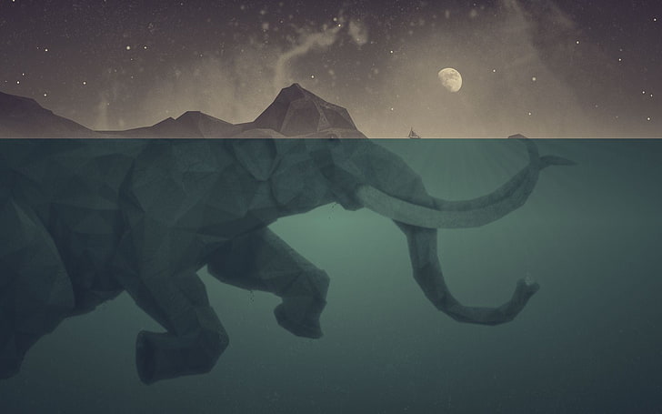 Baby Elephant Swimming, split view, star  space, animal wildlife, underwater Free HD Wallpaper