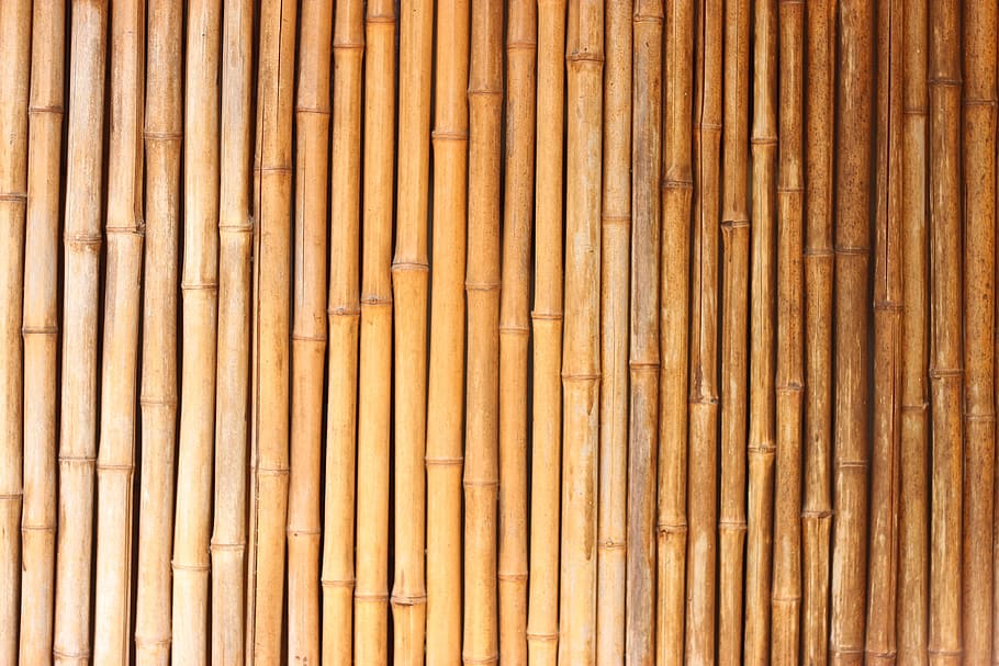 Bamboo Fence Texture, textured, full frame, day, no people Free HD Wallpaper