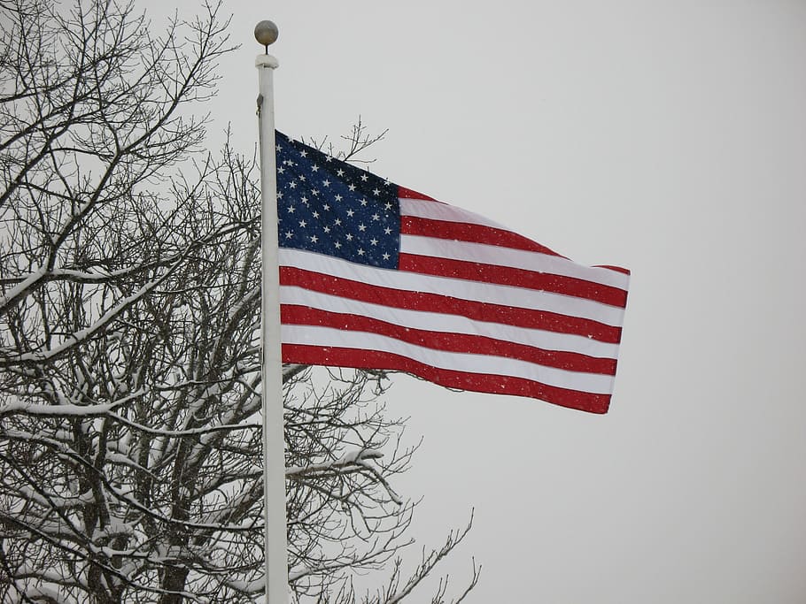 banner, closeup, wind, cold