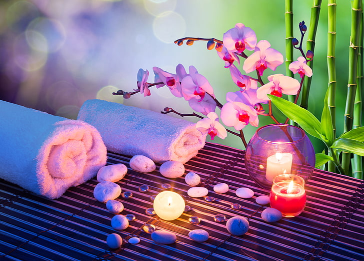 Chinese Zen Garden, purple, celebration, nature, petal