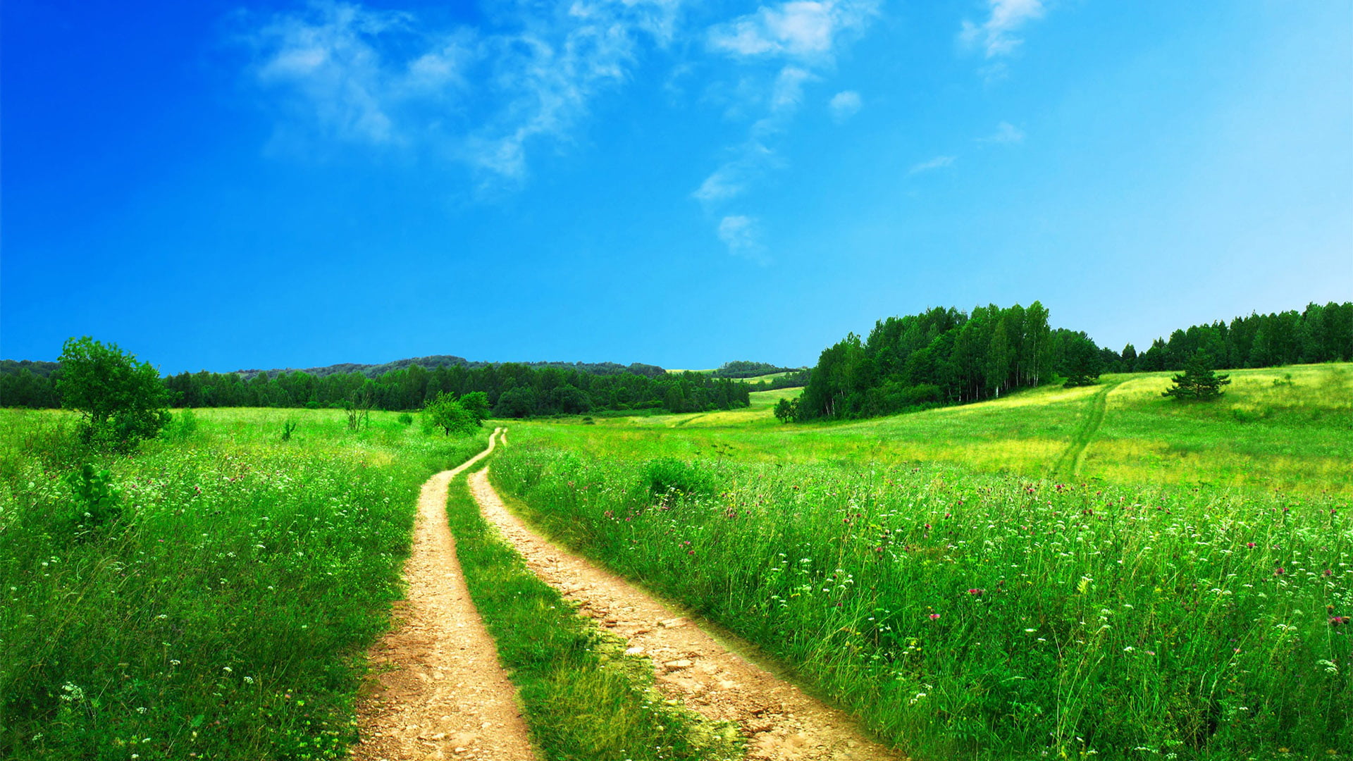 Country Western Scenery, outdoors, outdoor, no people, farm