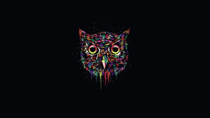 Cute Girly Owls, colorful, black, owl, creative