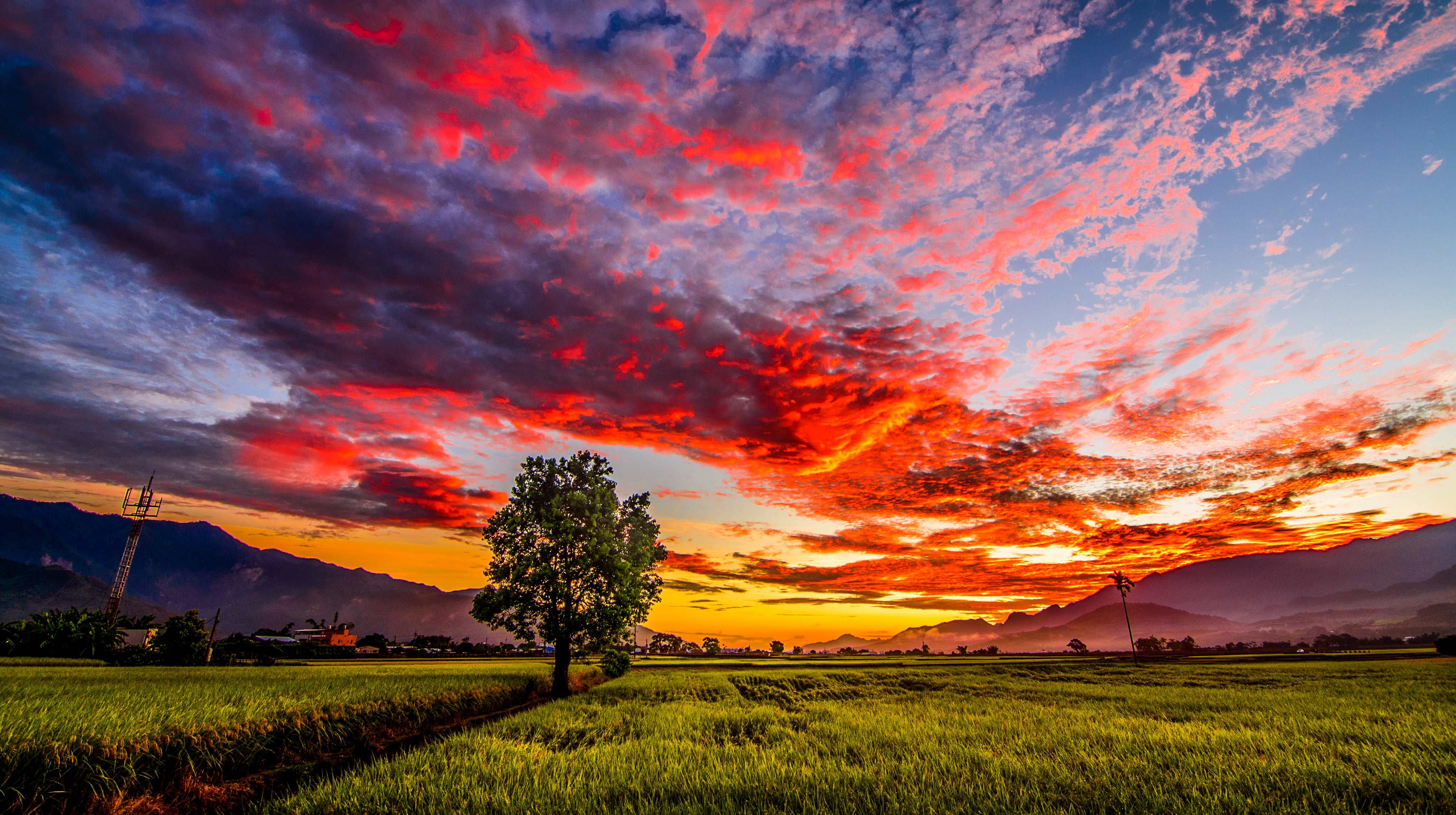 Golden Hour Landscape, mountain, flame, morning, nikon