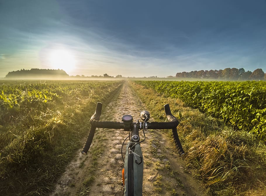 Gravel Bike, lens flare, sky, growth, sunlight Free HD Wallpaper