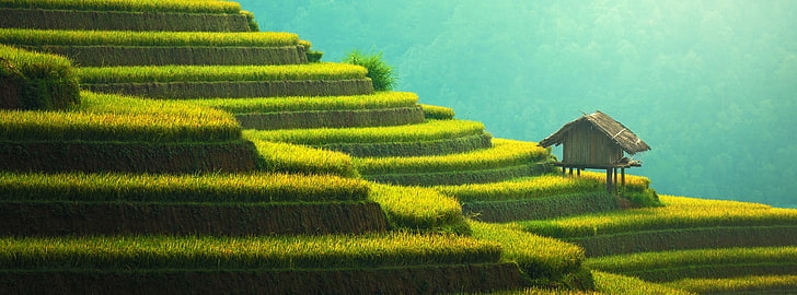 Guilin Rice Terraces China, tourism, visit, vacation, no people Free HD Wallpaper