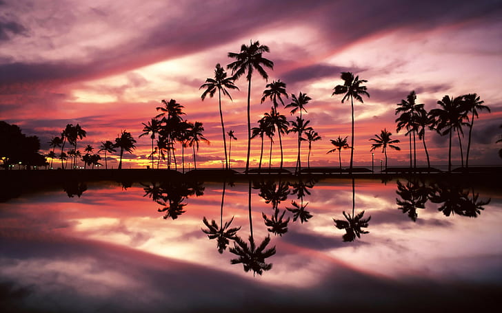 Hawaii Beach Sunset Painting, hawaiian, honolulu, 1920x1200, hawaii sunset Free HD Wallpaper