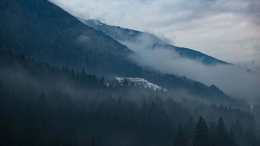 landscape, evergreen tree, mountain peak, misty Free HD Wallpaper