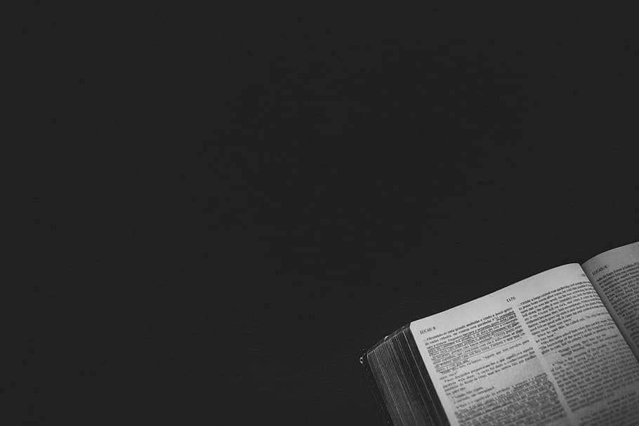 Little Buddha, single object, book, christian, school