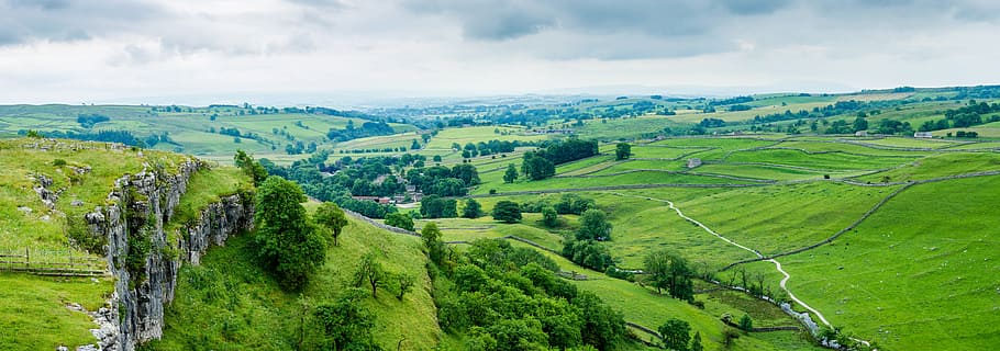 Malham Cove, tree, countryside, green color, tea crop Free HD Wallpaper