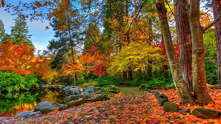 Most Beautiful Landscapes Autumn, colorful nature, colorful, park, autumn Free HD Wallpaper