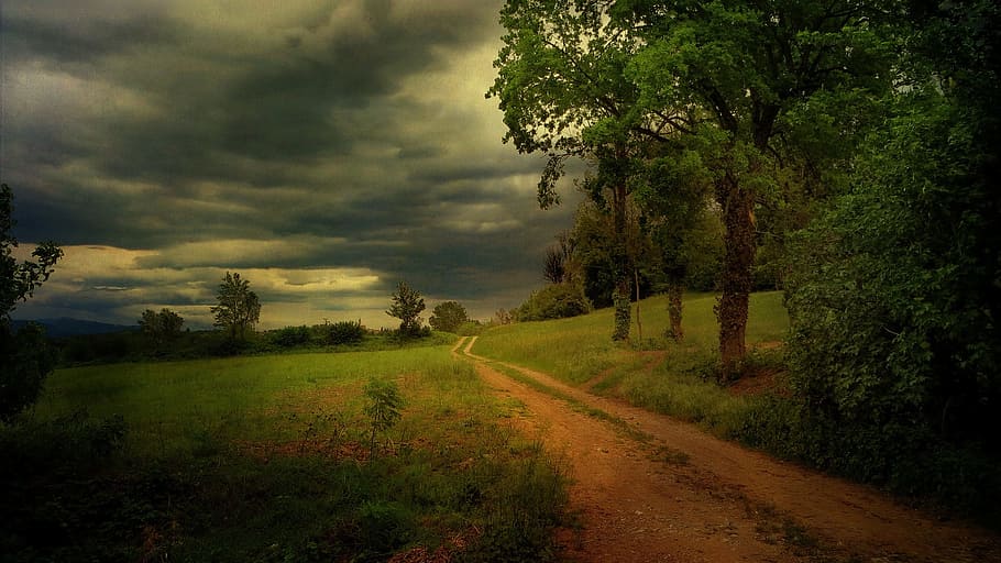 Mountain Dirt Road, environment, forest, organic, south