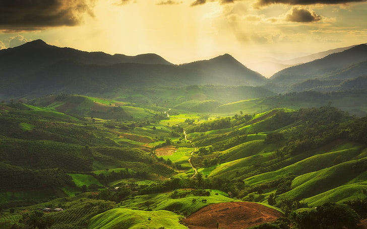 Mountain Stream Nature, plantation, idyllic, farm, green color Free HD Wallpaper