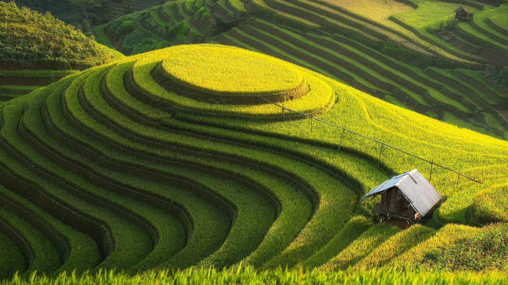 Nature Waterfall, nature, crop, terrace, environment