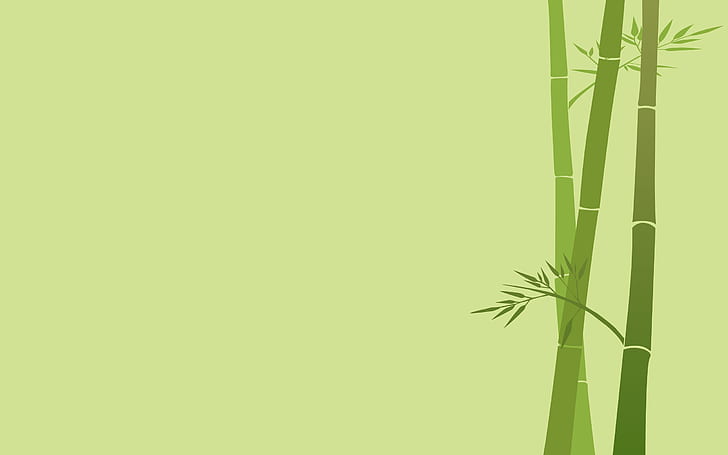 plants, simple background, bamboo, minimalism Free HD Wallpaper