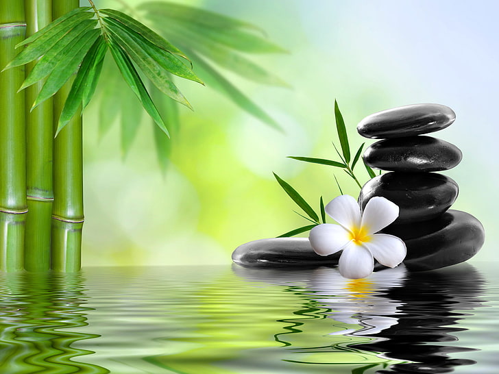 Spa Relaxing, black color, health backgrounds, closeup, reflection Free HD Wallpaper