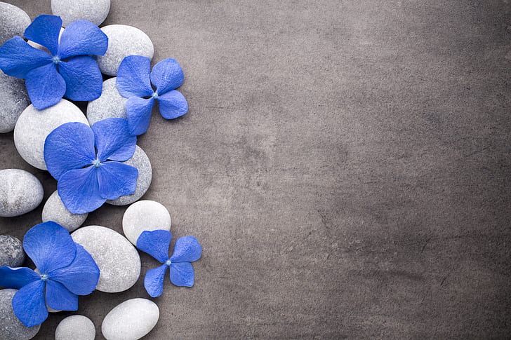 Spa, zen, blue, spa, flowers Free HD Wallpaper