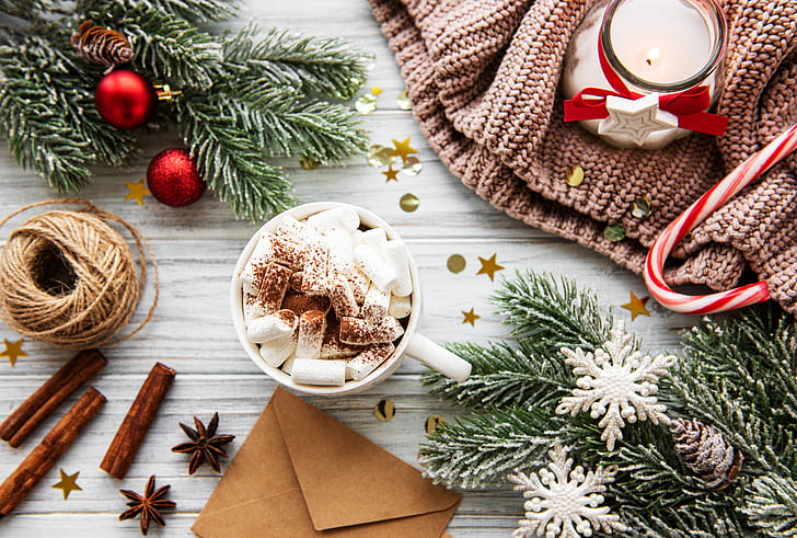 Spicy Hot Cocoa, marshmallow, cup, still life, cinnamon