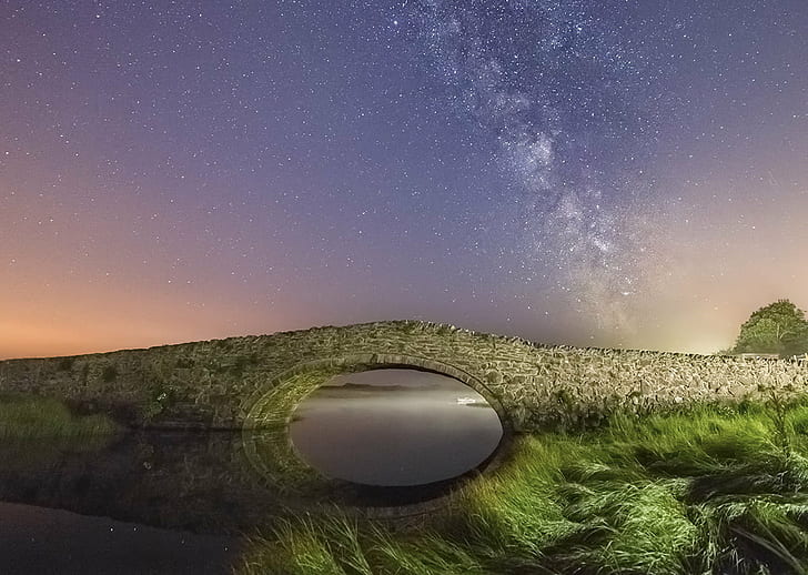 Superior North Shore Rock in Flower Purple, science, dark sky, wales, galaxy Free HD Wallpaper