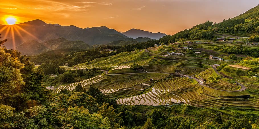 Terraced Hillside, morning, mountain, banaue, sky