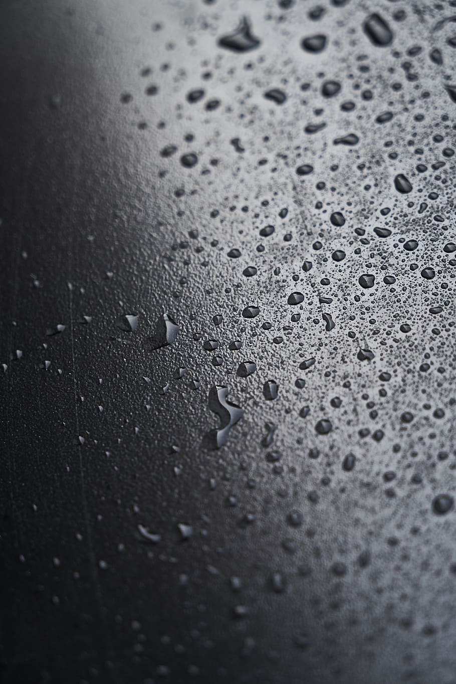 Water Droplets, detail, indoors, raindrop, bubble