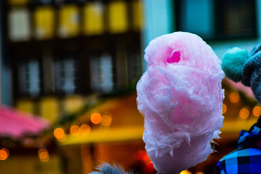 Who Invented Cotton Candy, flowering plant, cookie, cane, advent Free HD Wallpaper