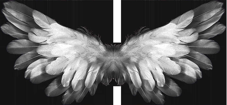 Wing Ridden Angel Tattoo, pray, feather, petal, prayer Free HD Wallpaper