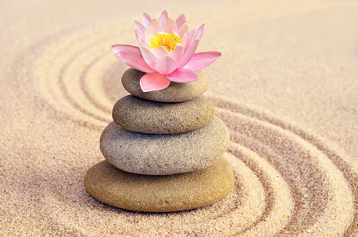 Zen Blue Flower and Stone, spa, flower, sand, lotus Free HD Wallpaper