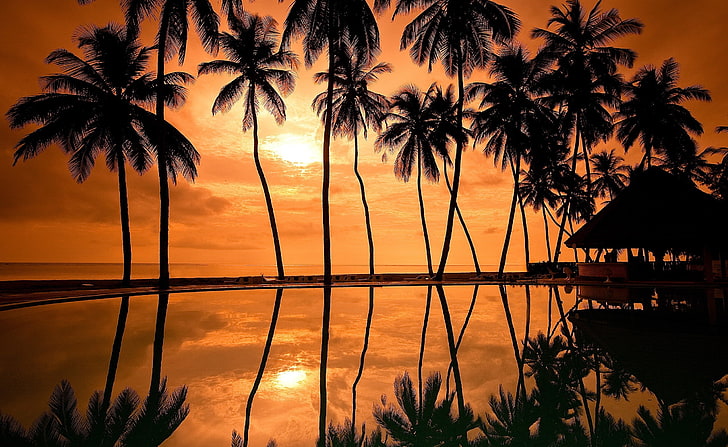 Colorful Sunset Hawaii, tranquility, hawaiian, swimming pool, orange color Free HD Wallpaper